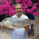 Lejlighed Federico
