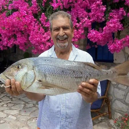 Appartement Federico